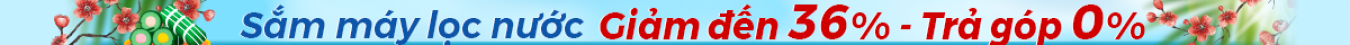 Banner 1