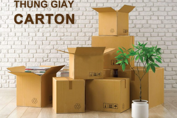 Thông tin công ty
